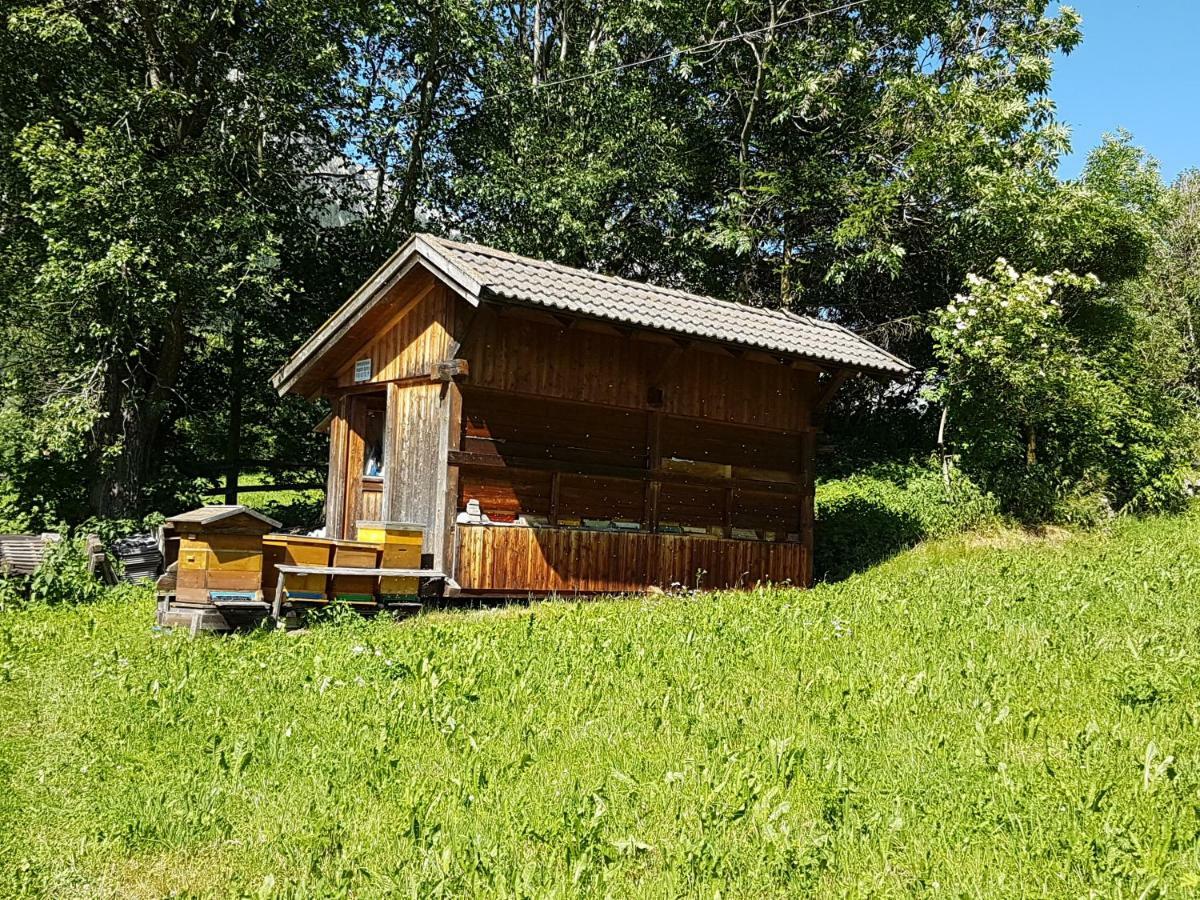 Apartments Nature Apis Landheim Anterselva di Mezzo Zewnętrze zdjęcie